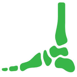 Advita Ortho Ankle Icon Illustration