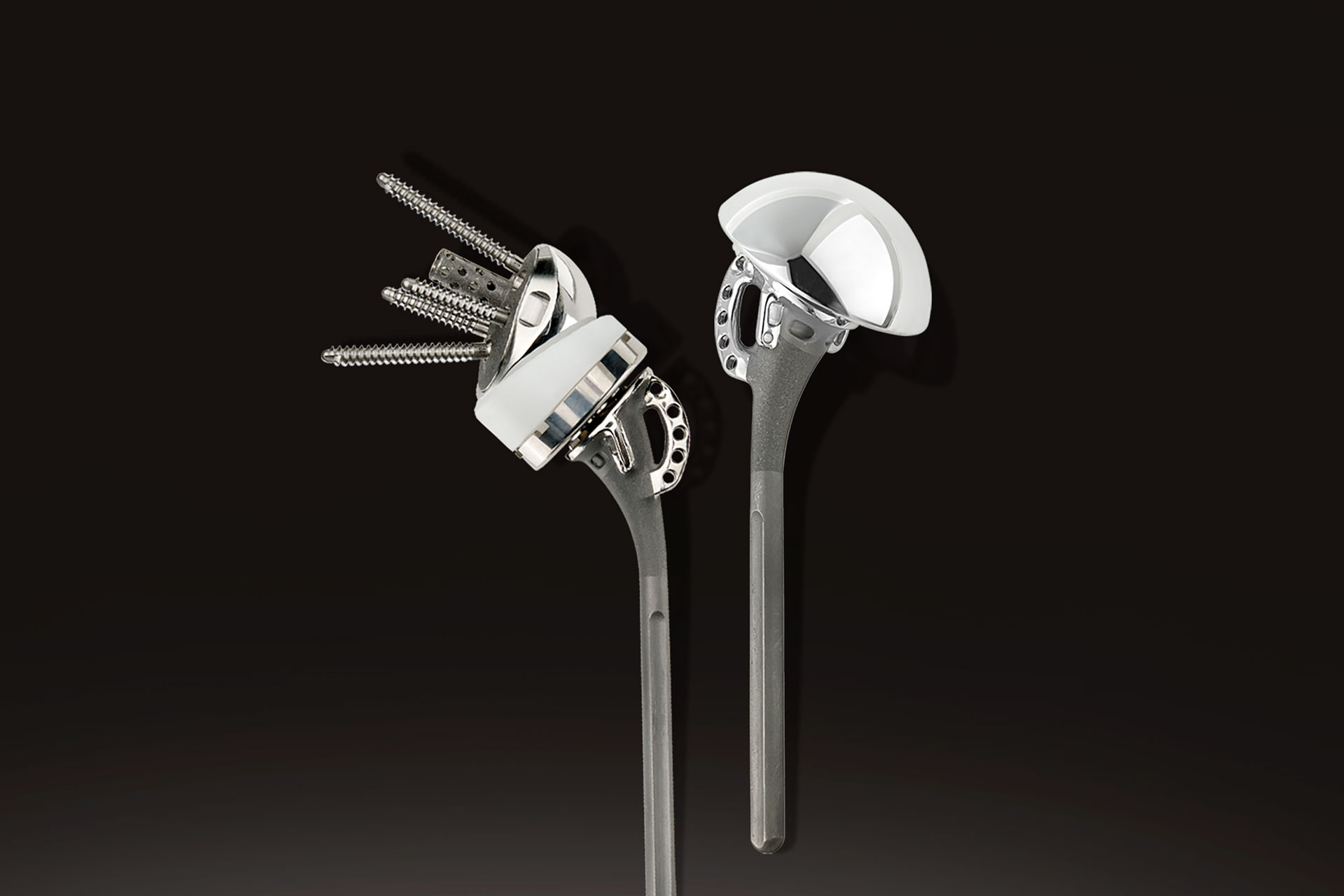 Equinoxe® Fraktur Schultersystem